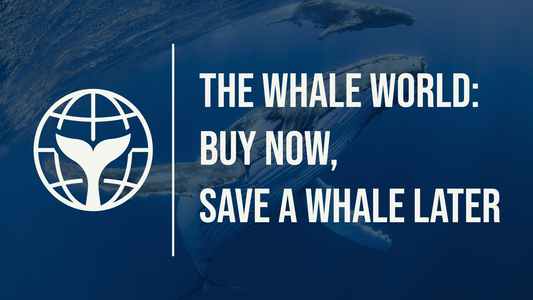 THE WHALE WORLD: BUY NOW, SAVE A WHALE LATER